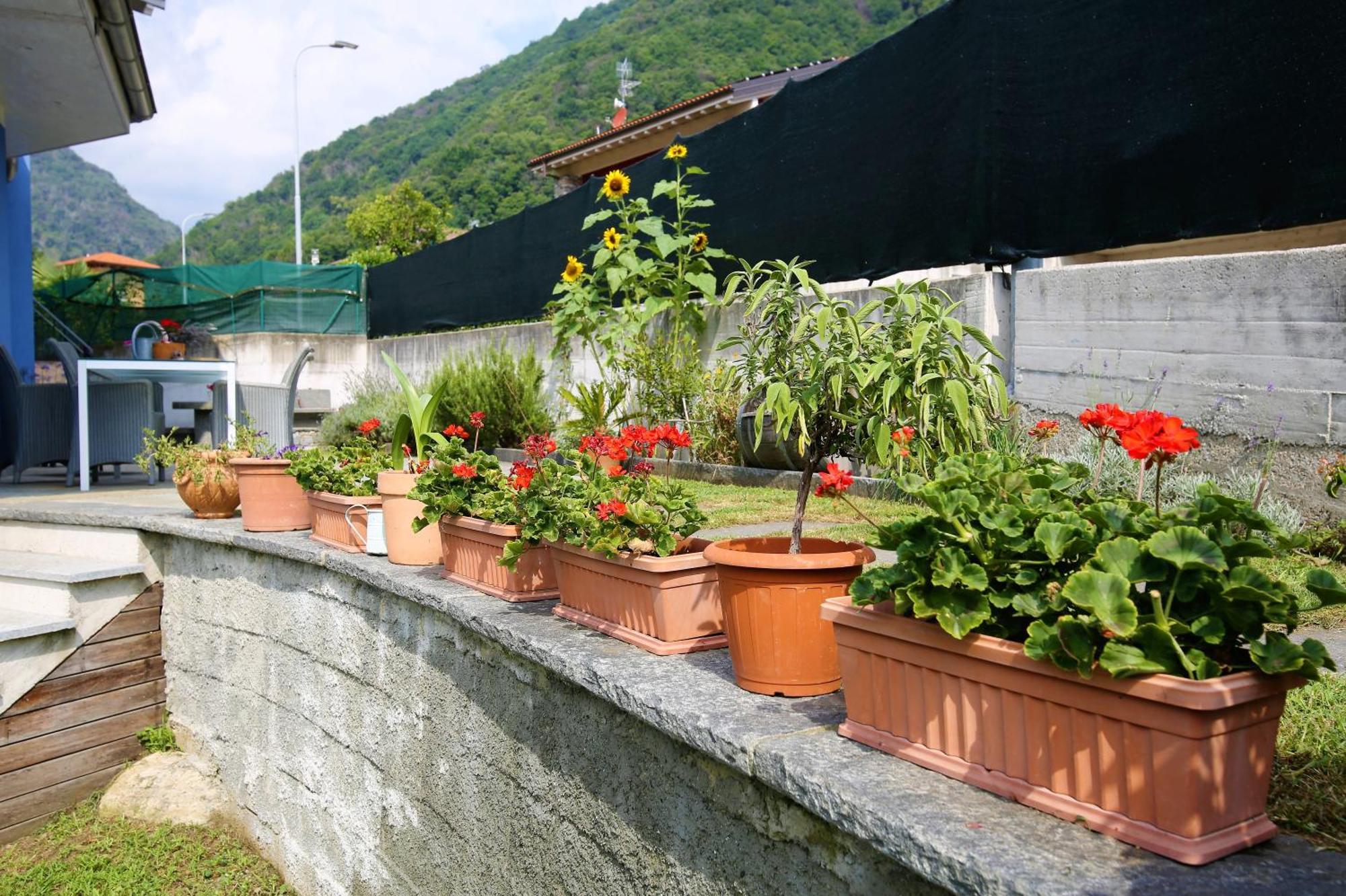 Appartamento Casa Alice Cannobio Esterno foto